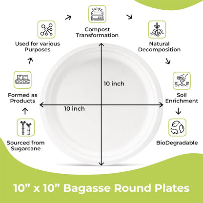 Disposable White Paper Plates | Heavy Duty, Microwave Safe, Compostable (Multiple Sizes & Pack Options)