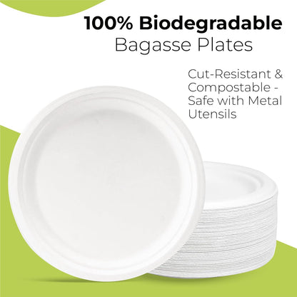 Disposable White Paper Plates | Heavy Duty, Microwave Safe, Compostable (Multiple Sizes & Pack Options)