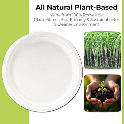Disposable White Paper Plates | Heavy Duty, Microwave Safe, Compostable (Multiple Sizes & Pack Options)