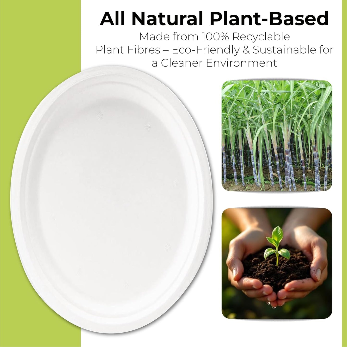 Disposable White Paper Plates | Heavy Duty, Microwave Safe, Compostable (Multiple Sizes & Pack Options)