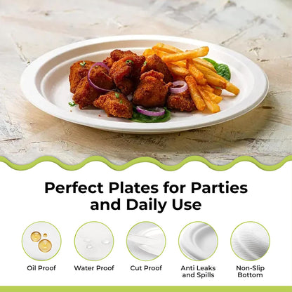 Disposable White Paper Plates | Heavy Duty, Microwave Safe, Compostable (Multiple Sizes & Pack Options)