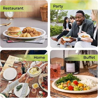 Disposable White Paper Plates | Heavy Duty, Microwave Safe, Compostable (Multiple Sizes & Pack Options)